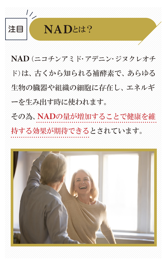 NADとは？