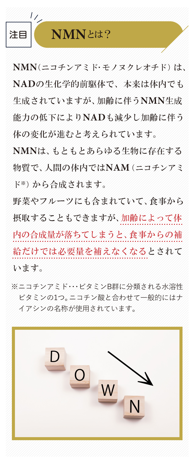 NMNとは？