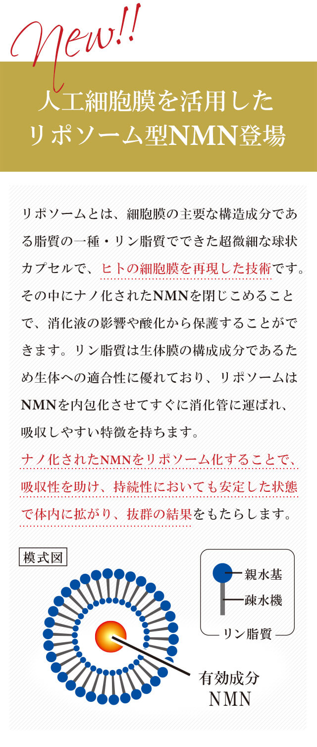 人工細胞膜を活用したリポソーム型NMN登場