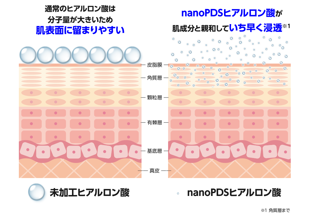 通常のヒアルロン酸は分子量が大きいため肌表面に留まり浸透しない。nanoPDSヒアルロン酸は肌成分と親和し奥まで浸透する。